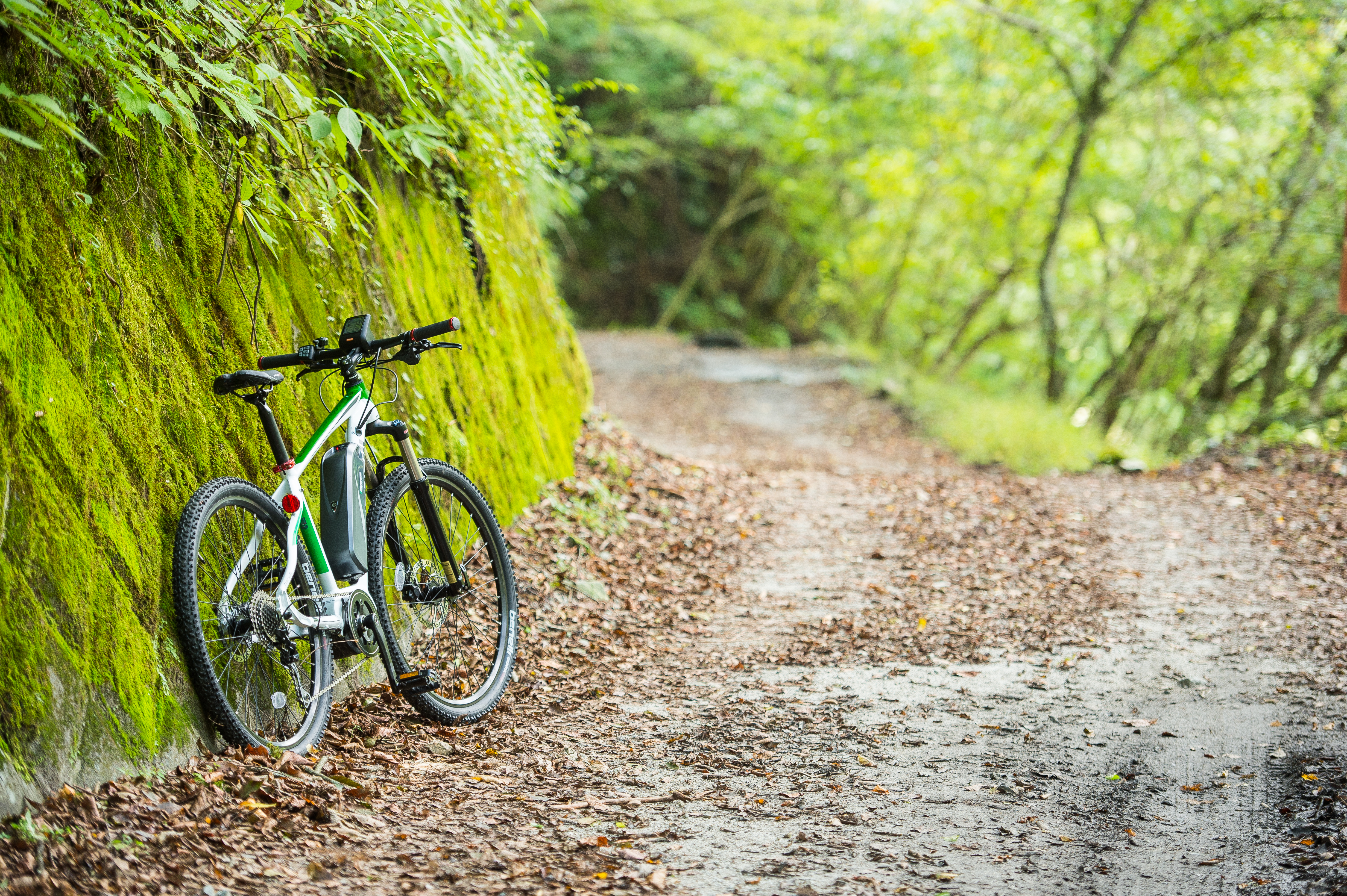 電動アシストMTB